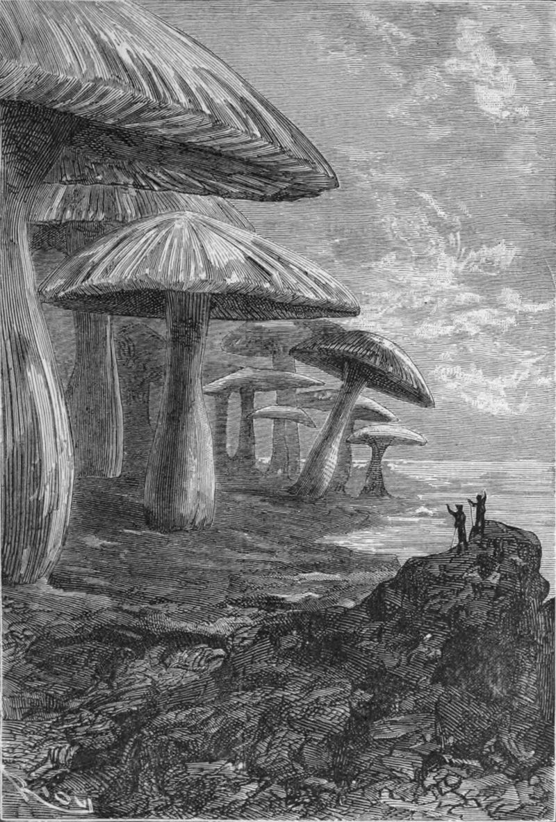 Journey to the Centre of the Earth — first-edition cover