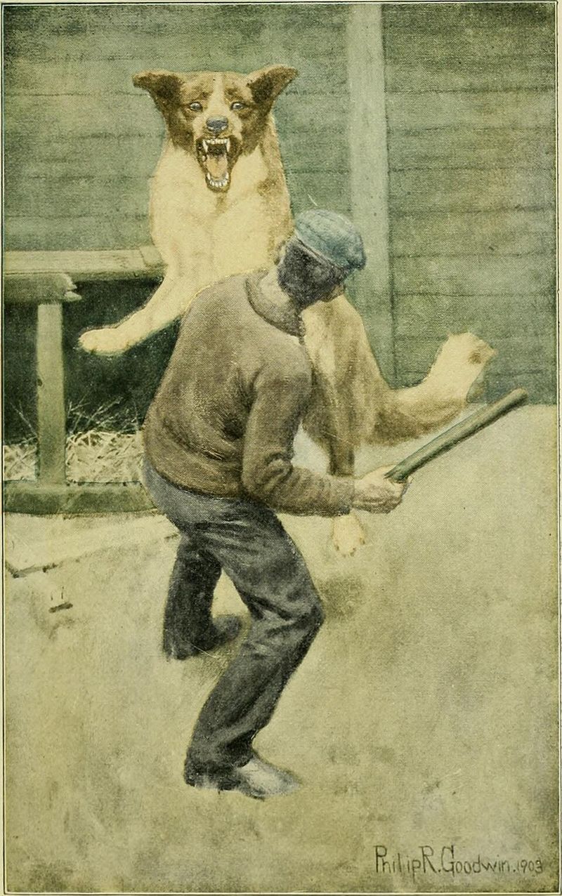 The Call of the Wild — first-edition cover