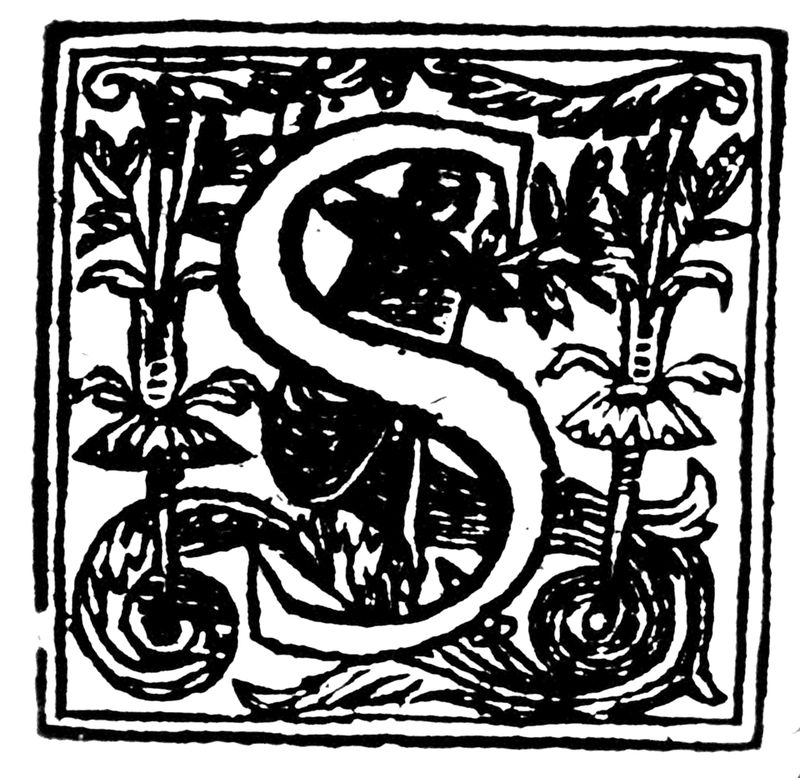 The Faerie Queene — first-edition cover