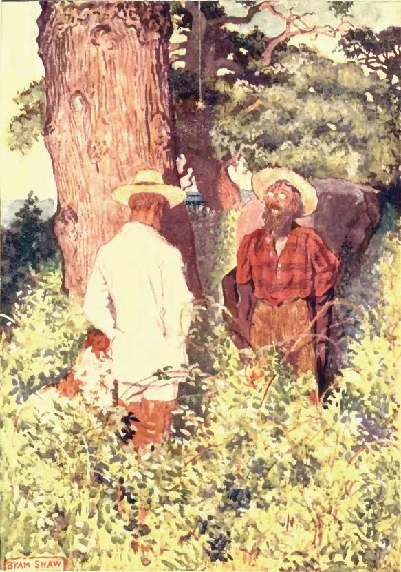 The Gold-Bug — first-edition cover
