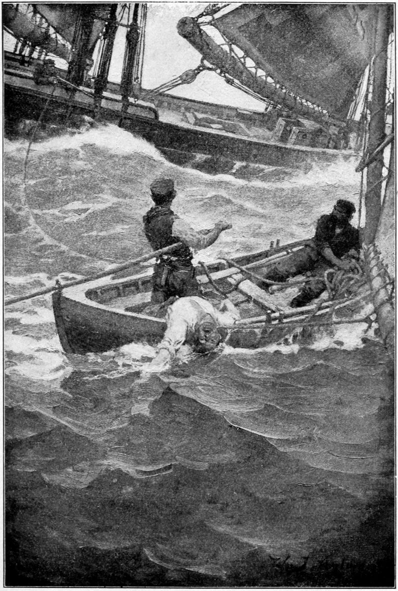 The Sea-Wolf — first-edition cover