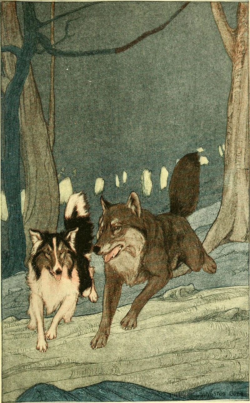 White Fang — first-edition cover